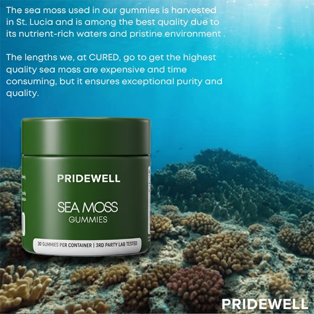 Pridewell Sea Moss Gummies